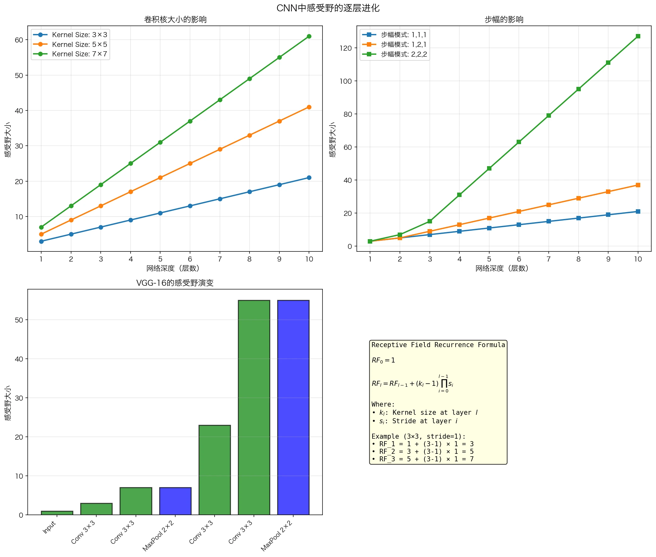 感受野逐层进化